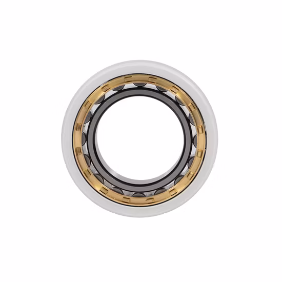 Nu 1012 Ecp/C3vl0241 Insocoat Bearings