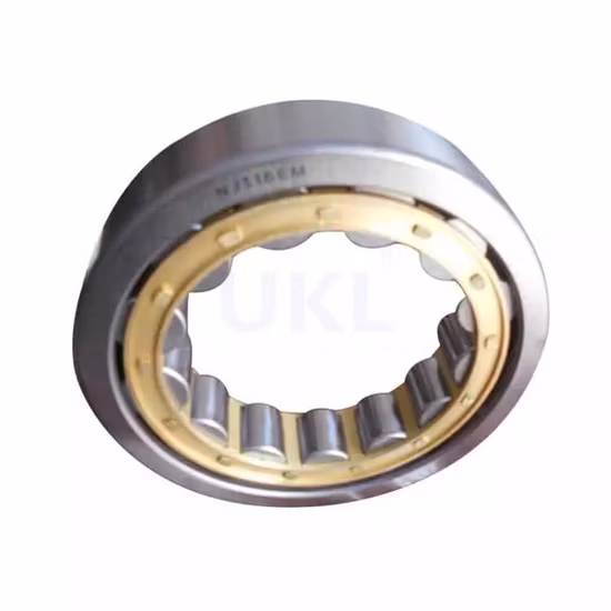 Single Row Cylindrical Roller Bearings Nup 2306 Ecp, Nup 306 Ecj, Nup 306 Ecm, Nup 306 Ecml